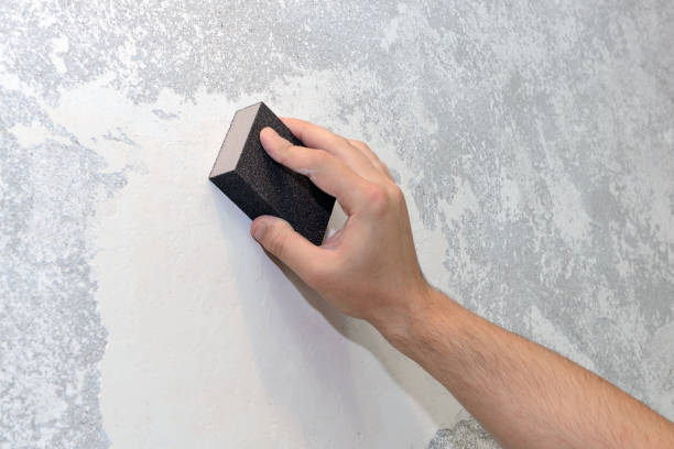 Best Mold Odor Removal Services  in Park Layne, OH