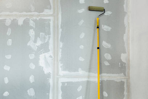 Best Mold Damage Restoration  in Park Layne, OH