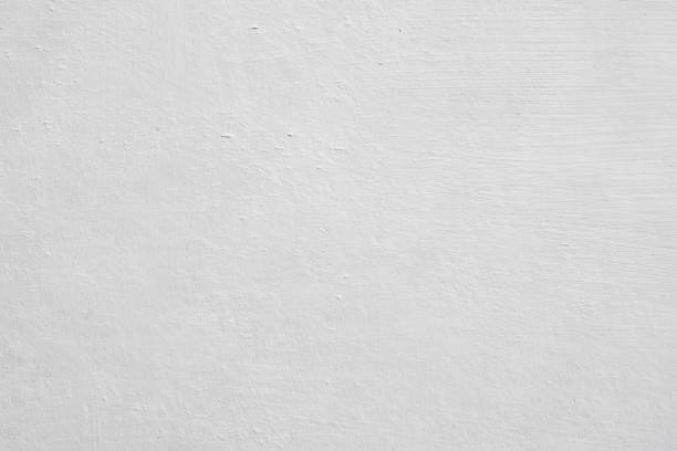  Park Layne, OH Mold Removal Pros