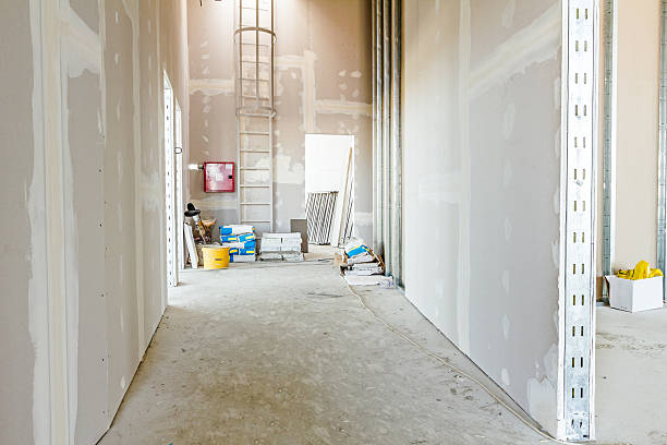 Best Environmental Consulting for Mold Prevention  in Park Layne, OH